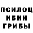 Галлюциногенные грибы прущие грибы Egflaer