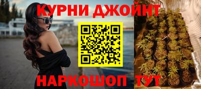 крисы Краснознаменск