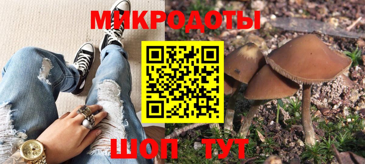 Гагарин  наркотики  Вход с VPN  Галлюциногенные грибы MAGIC MUSHROOMS 